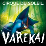 Cirque du Soleil Varekai